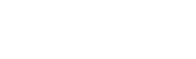 飞梭VPN Logo